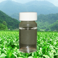 produk Bio-pesticide Nikotin yang tulen