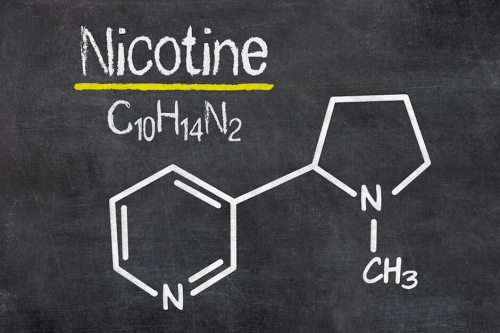yang nikotin sintesis kimia?